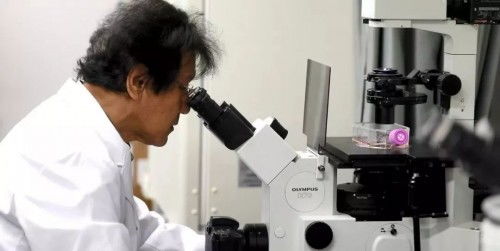 護(hù)膚領(lǐng)域新添猛將 馥茜美容護(hù)膚攜手日本護(hù)膚專家實力來襲